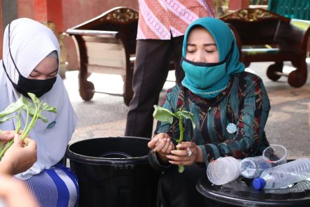 MEMILIH BIBIT KANGKUNG