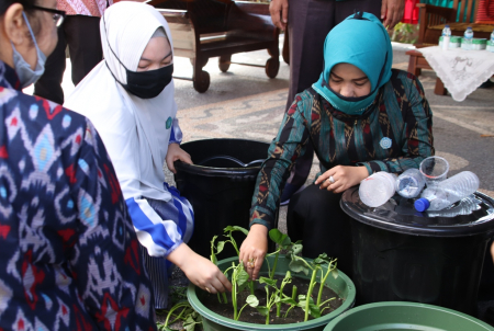 MENANAM KANGKUNG DENGAN METODE AJB