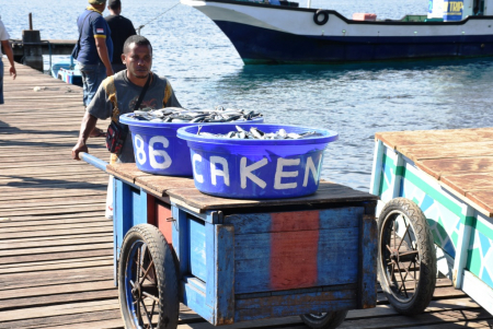 ANGKUT  IKAN