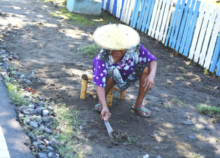 KULA UNTUK BERSIHKAN RUMPUT 