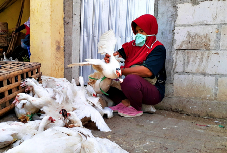 PEDAGANG UNGGAS di PASAR BLORA