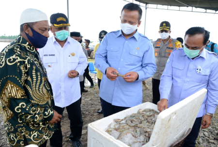 PENGEMBANGAN BUDIDAYA PERIKANAN