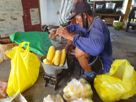 MENIMBANG JAGUNG KUPAS