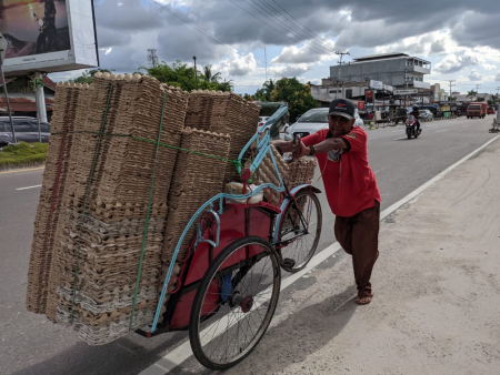DORONG MUATAN TABAK TELUR