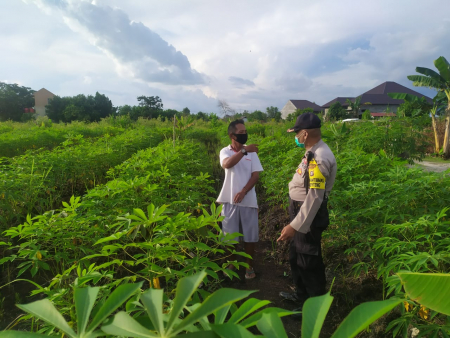 BERI SEMANGAT PETANI 