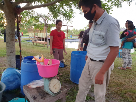  TIMBANG IKAN KOLAM PEMANCINGAN