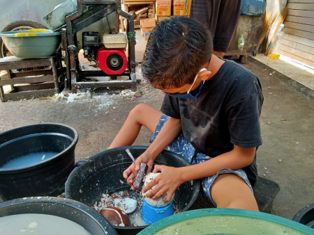 BERSIHKAN KULIT DAGING KELAPA