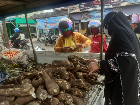 MEMILIH SINGKONG KRISTAL
