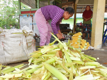 MENYUSUN JAGUNG KUPAS