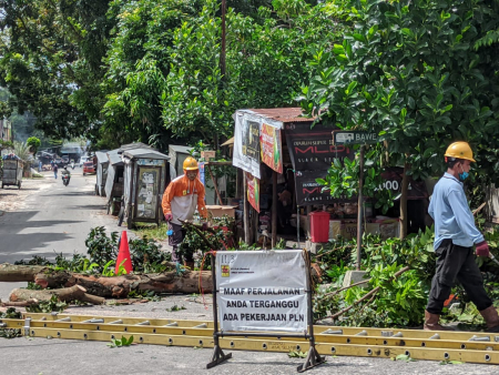 BERSIHKAN DAHAN POHON