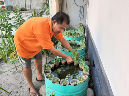 BUDIDAYA KANGKUNG DALAM TONG