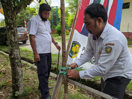 PASANG  UMBUL-UMBUL