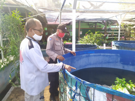 BUDIDAYA IKAN DI KOLAM BIOFLOK