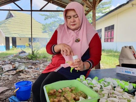MASUKAN BIBIT SAWI di NET POT HIDROPONIK