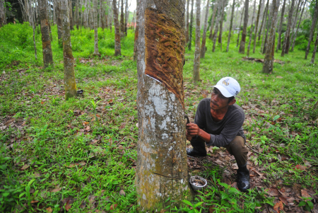 KEMENPERIN DORONG PRODUKTIVITAS PENGOLAHAN KARET