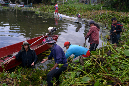 PEMBERSIHAN ECENG GONDOK DANAU TONDANO
