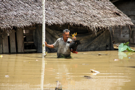 SELAMATKAN TERNAK DI TENGAH BANJIR