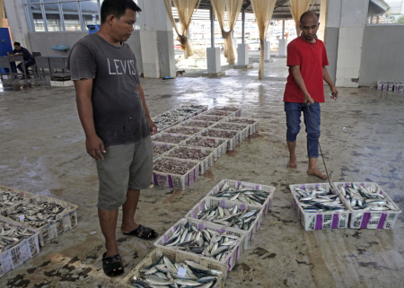 AKTIVITAS LELANG IKAN DIBUKA LAGI