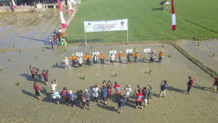 TURUN KE SAWAH