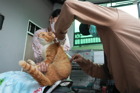 SUNTIKKAN VAKSIN RABIES