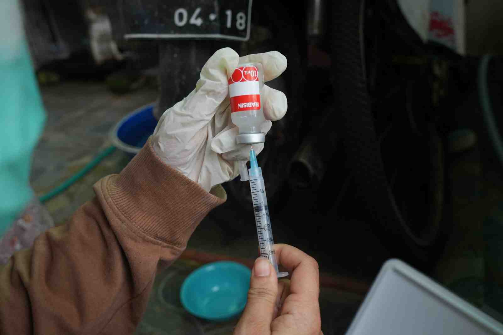 SIAPKAN VAKSIN RABIES