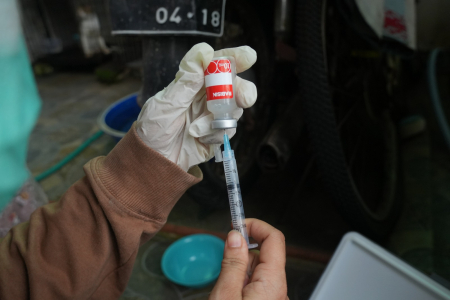 SIAPKAN VAKSIN RABIES