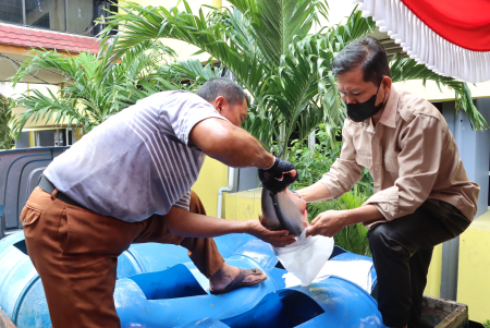 SIAPKAN IKAN PATIN