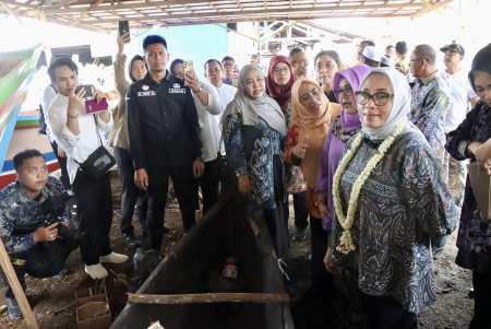 LIHAT PEMBUATAN KELOTOK