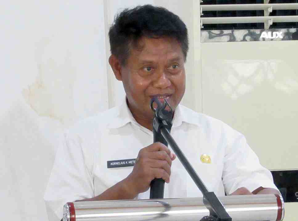 PELUNCURAN PEDOMAN RUJUKAN IBU DAN BAYI BARU LAHIR