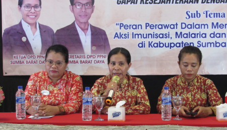 SEMINAR KEPERAWATAN
