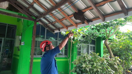 TUNJUKAN POSISI SARANG LEBAH