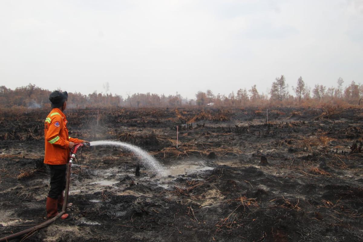 PENDINGINAN LAHAN PASCA KARHUTLA