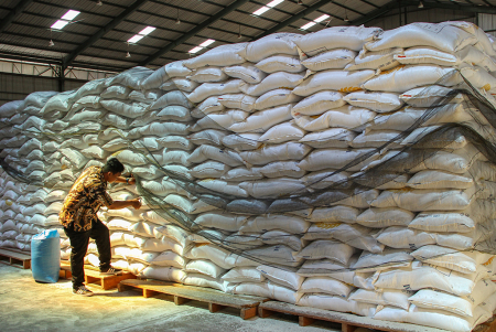 STOK BERAS BULOG MAKASSAR MENCUKUPI