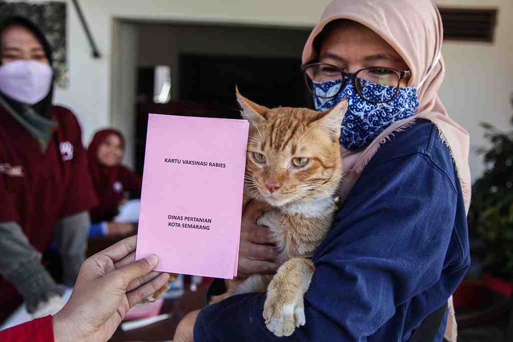 LAYANAN VAKSIN RABIES KELILING GRATIS DI SEMARANG