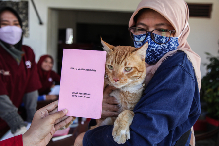 LAYANAN VAKSIN RABIES KELILING GRATIS DI SEMARANG