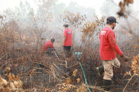 PEGAWAI DISKOMINFOSANTIK KALTENG BANTU PADAMKAN KARHUTLA