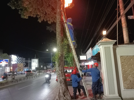 EVAKUASI SARAN TAWON
