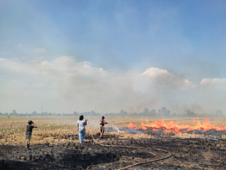 PADAMKAN KARHUTLA 