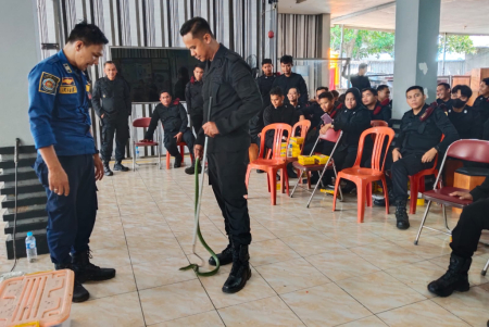 PRAKTIK CARA MENANGKAP ULAR