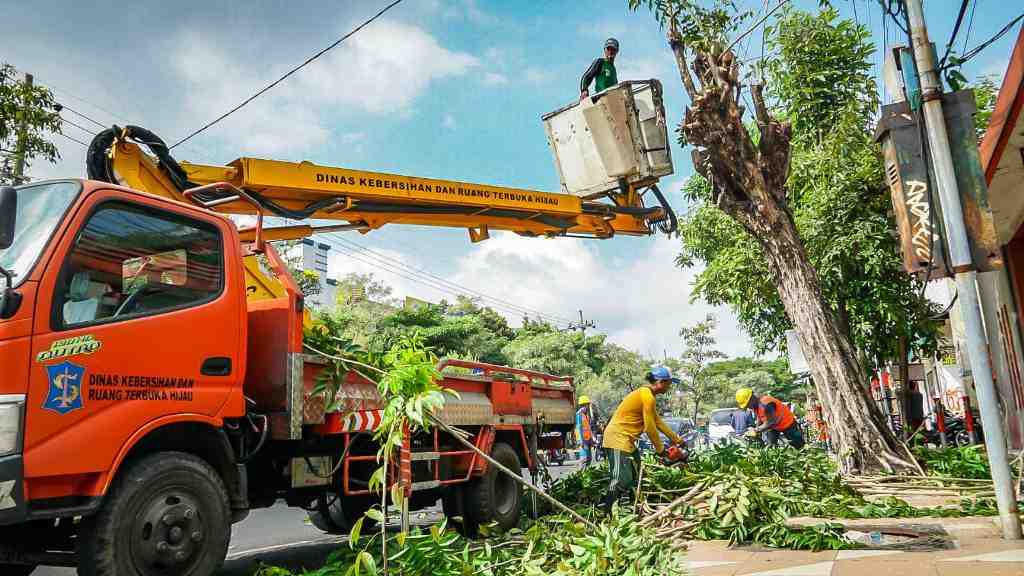 PERABASAN POHON MENDEKATI JARINGAN LISTRIK