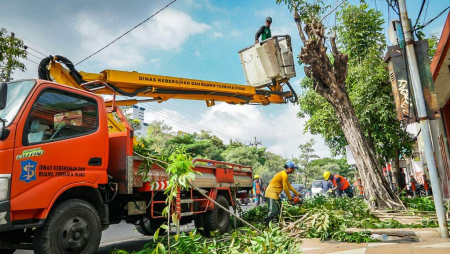 PERABASAN POHON MENDEKATI JARINGAN LISTRIK