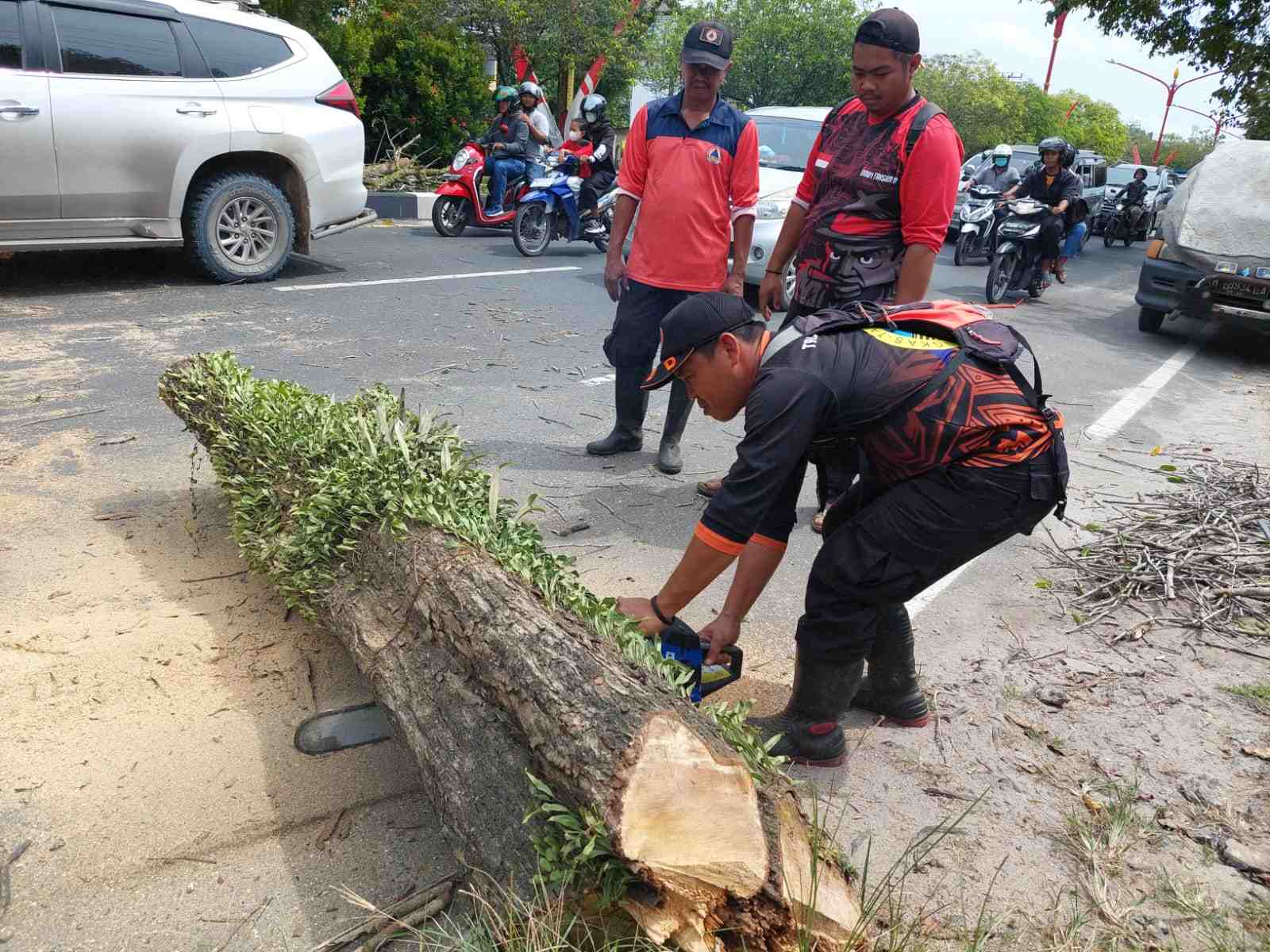 MEMOTONG KAYU