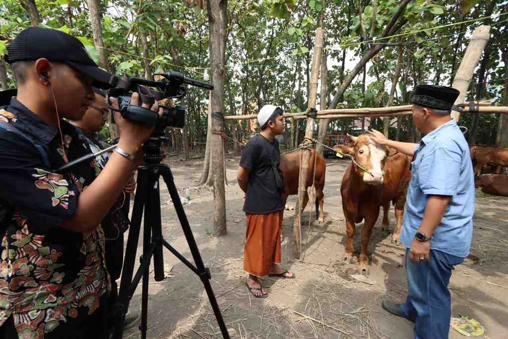  TIPS MEMILIH HEWAN SEHAT