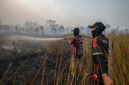 PENYEMPROTAN KEBAKARAN HUTAN