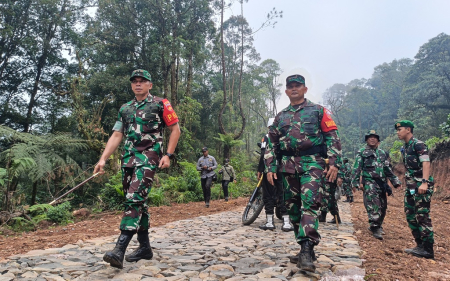 TINJAU TMMD