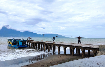 ANGKUT BALOK KAYU