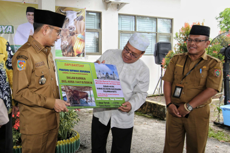 SERAHKAN SAPI BANTUAN PRESIDEN RI