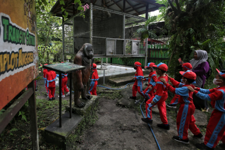 EDUKASI SATWA DILINDUNGI SEJAK DINI 