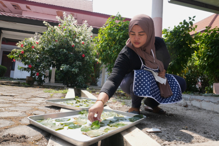 JEMUR DAUN SIRIH
