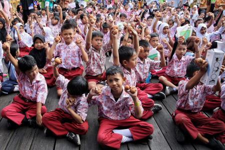 PANGAN BERAGAM, BERGIZI, SEIMBANG DAN AMAN